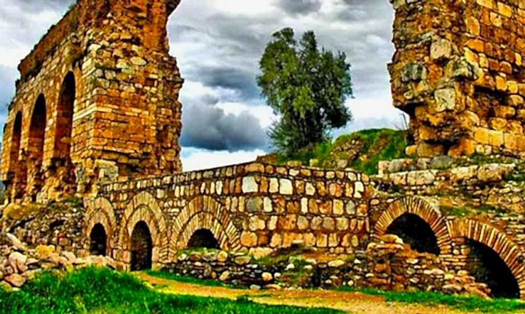 İzmir Aydın Transfer